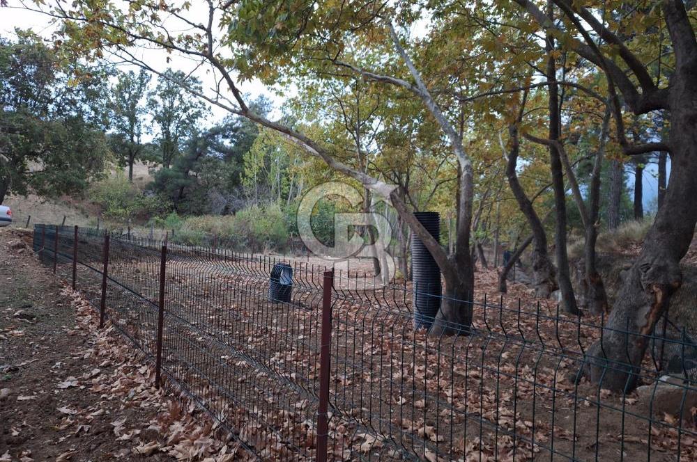 ÇANAKKALE BAYRAMİÇ KARINCALIK KÖYÜ 500 M2 TARLA