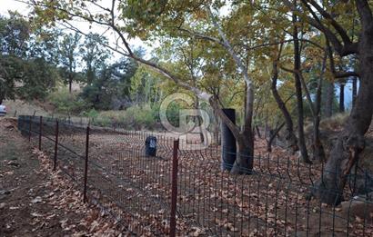 ÇANAKKALE BAYRAMİÇ KARINCALIK KÖYÜ 500 M2 TARLA