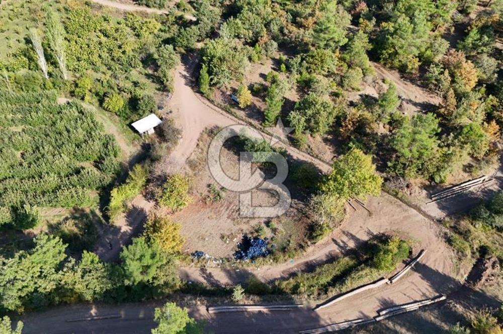 ÇANAKKALE BAYRAMİÇ KARAKÖY DE SATILIK 460 M2 FIRSAT BAHÇE