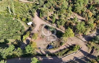 ÇANAKKALE BAYRAMİÇ KARAKÖY DE SATILIK 460 M2 FIRSAT BAHÇE