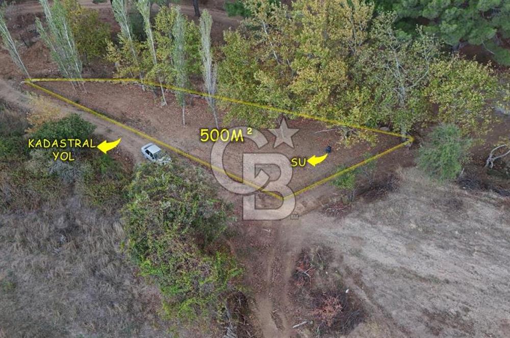 ÇANAKKALE BAYRAMİÇ KARINCALIK KÖYÜ 500 M2 TARLA