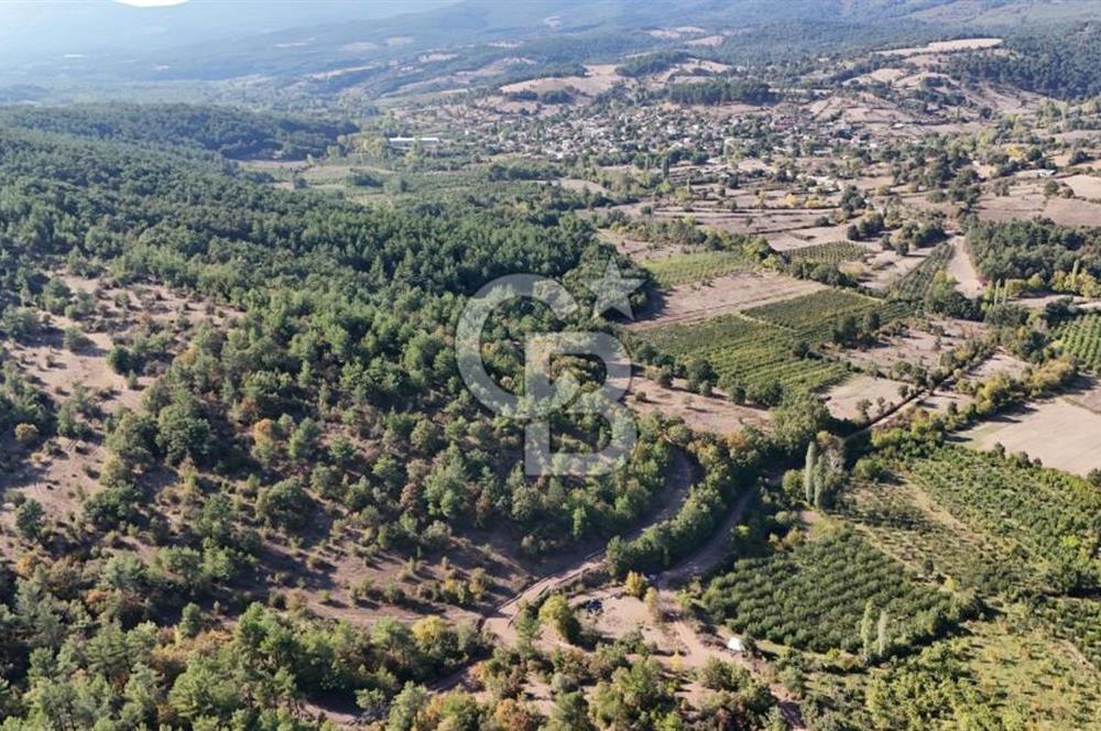 ÇANAKKALE BAYRAMİÇ KARAKÖY DE SATILIK 460 M2 FIRSAT BAHÇE