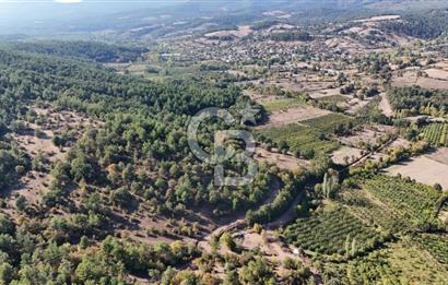 ÇANAKKALE BAYRAMİÇ KARAKÖY DE SATILIK 460 M2 FIRSAT BAHÇE