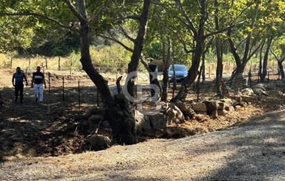 ÇANAKKALE BAYRAMİÇ KARINCALIK KÖYÜ 500 M2 TARLA