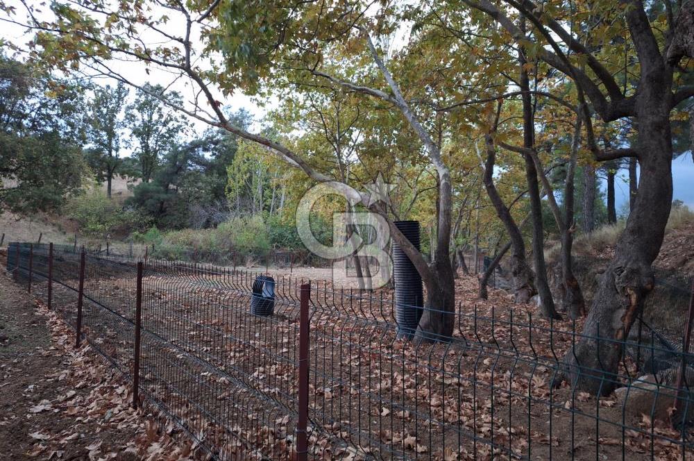 ÇANAKKALE BAYRAMİÇ KARINCALIK KÖYÜ 500 M2 TARLA