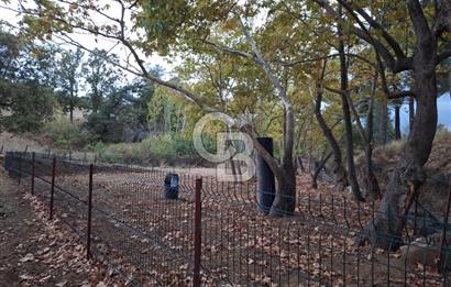 ÇANAKKALE BAYRAMİÇ KARINCALIK KÖYÜ 500 M2 TARLA