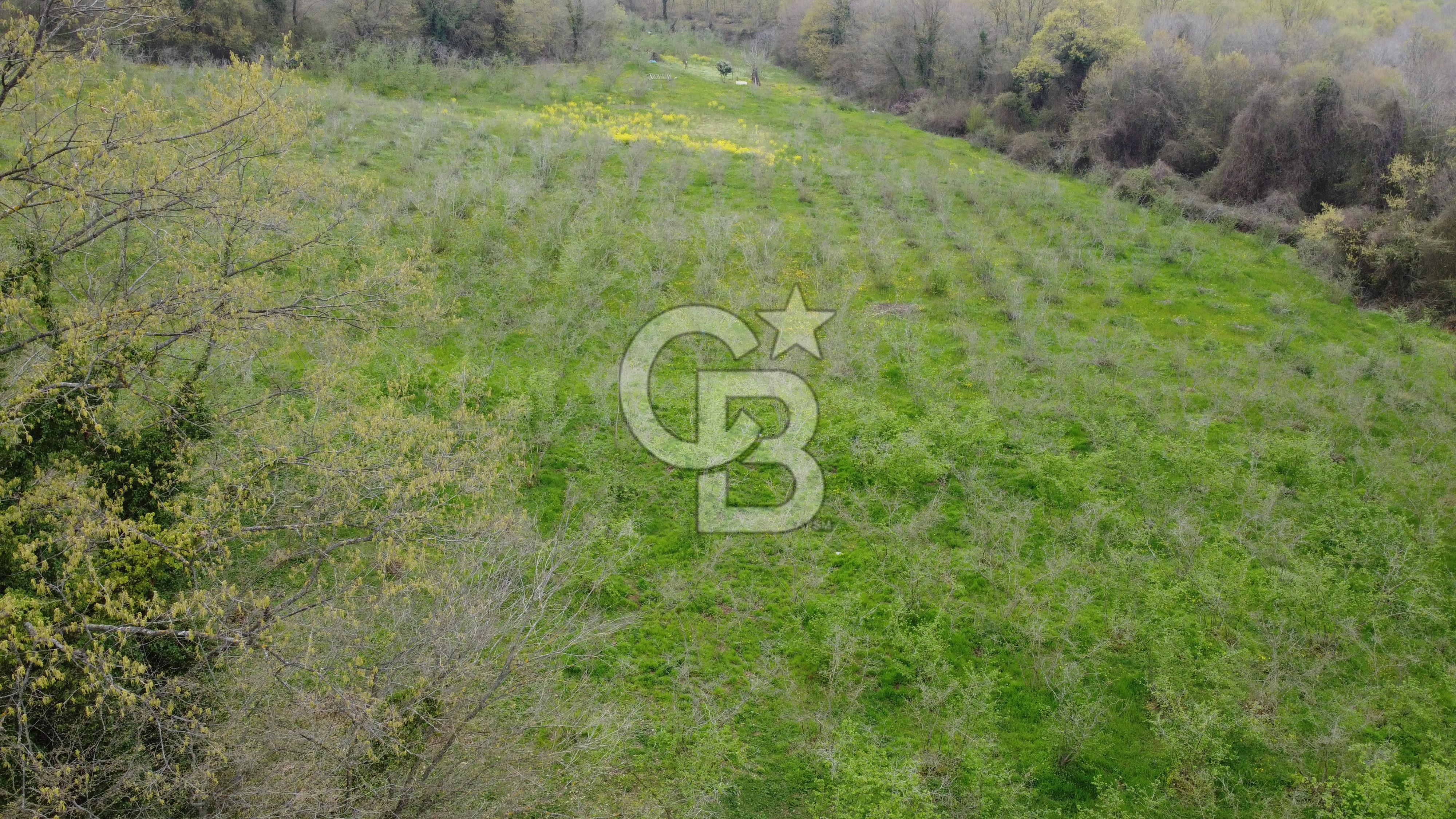 Sakarya Kayalar Memduhiye'de 6000m² Satılık Yatırım Arsası