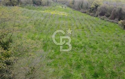 Sakarya Kayalar Memduhiye'de 6000m² Satılık Yatırım Arsası