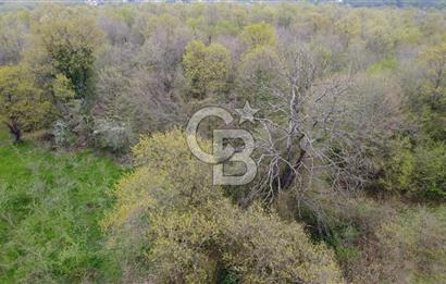 Sakarya Kayalar Memduhiye'de 6000m² Satılık Yatırım Arsası