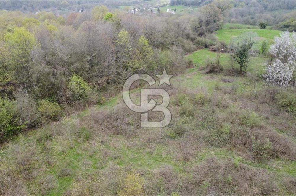 Sakarya Kayalar Memduhiye'de 6000m² Satılık Yatırım Arsası