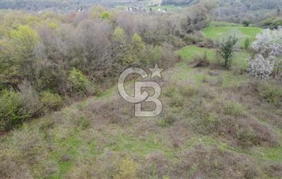 Sakarya Kayalar Memduhiye'de 6000m² Satılık Yatırım Arsası