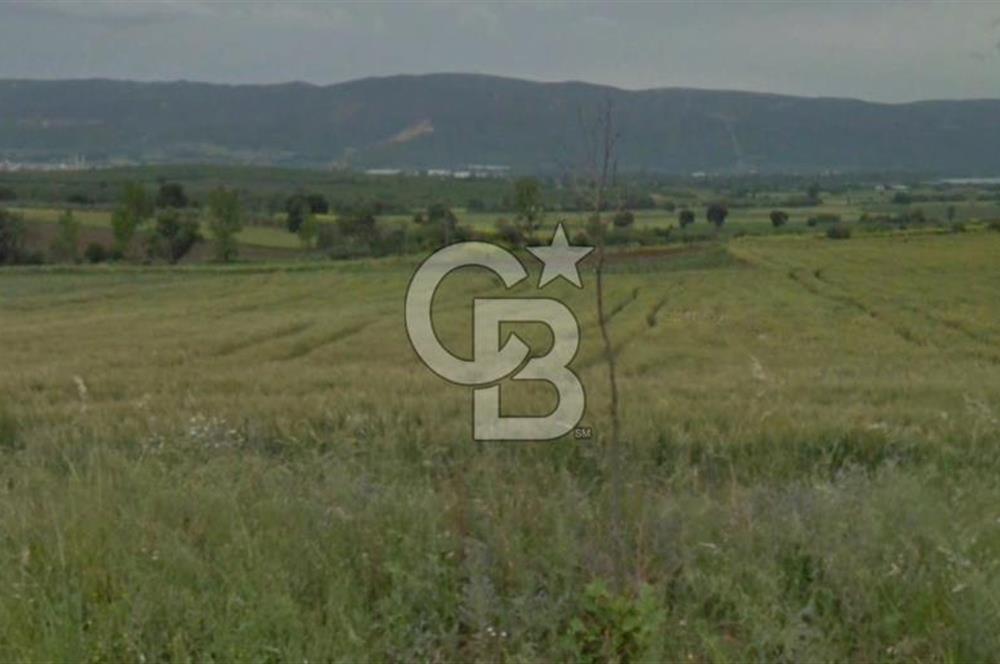 NİLÜFER ÇATALAĞIL DA SATILIK 7.200 M TARLA