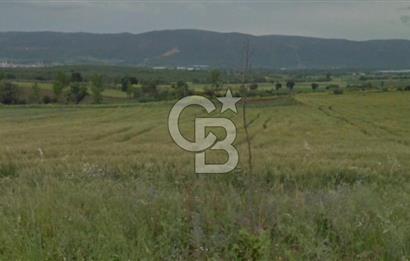 NİLÜFER ÇATALAĞIL DA SATILIK 7.200 M TARLA