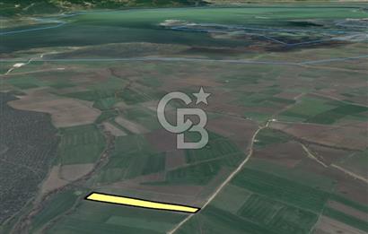 NİLÜFER ÇATALAĞIL DA SATILIK 7.200 M TARLA