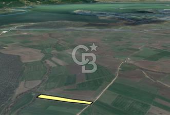 NİLÜFER ÇATALAĞIL DA SATILIK 7.200 M TARLA - 8 - 342929