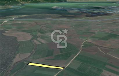 NİLÜFER ÇATALAĞIL DA SATILIK 7.200 M TARLA