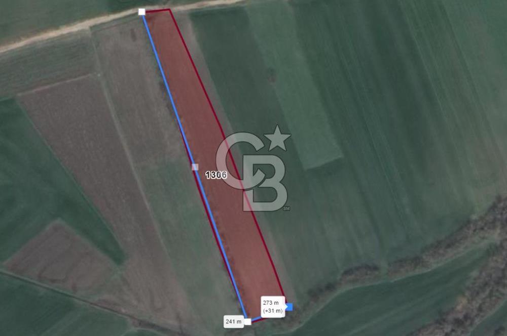 NİLÜFER ÇATALAĞIL DA SATILIK 7.200 M TARLA