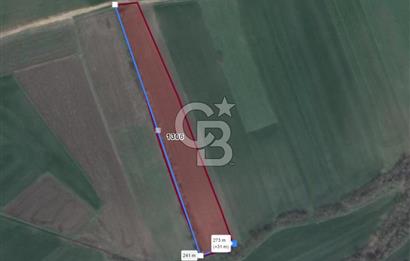 NİLÜFER ÇATALAĞIL DA SATILIK 7.200 M TARLA