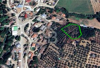 KARACABEY/YEŞİLDERE KÖYİÇİ SATILIK FIRSAT ARAZİ - 12 - 342930