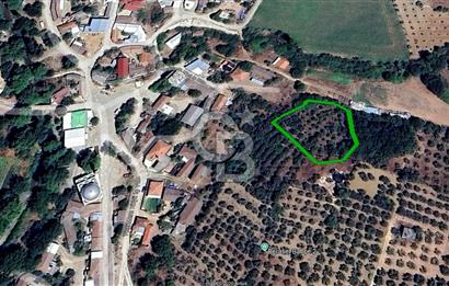 KARACABEY/YEŞİLDERE KÖYİÇİ SATILIK FIRSAT ARAZİ