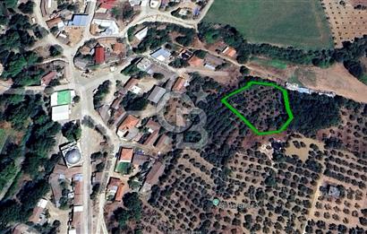 KARACABEY/YEŞİLDERE KÖYİÇİ SATILIK FIRSAT ARAZİ