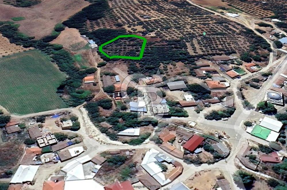 KARACABEY/YEŞİLDERE KÖYİÇİ SATILIK FIRSAT ARAZİ