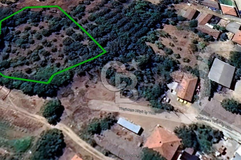 KARACABEY/YEŞİLDERE KÖYİÇİ SATILIK FIRSAT ARAZİ