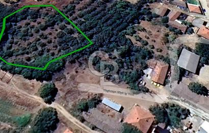 KARACABEY/YEŞİLDERE KÖYİÇİ SATILIK FIRSAT ARAZİ