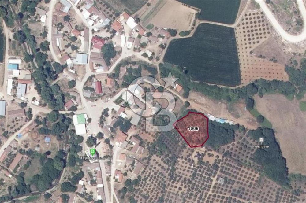 KARACABEY/YEŞİLDERE KÖYİÇİ SATILIK FIRSAT ARAZİ