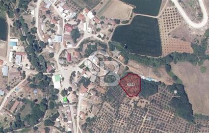 KARACABEY/YEŞİLDERE KÖYİÇİ SATILIK FIRSAT ARAZİ