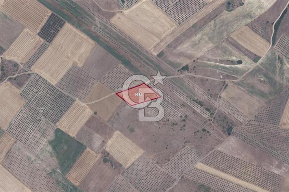 KARACABEY/SULTANİYE 'DE SATILIK MÜSTAKİL ARAZİ