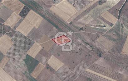 KARACABEY/SULTANİYE 'DE SATILIK MÜSTAKİL ARAZİ