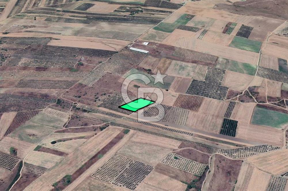 KARACABEY/SULTANİYE 'DE SATILIK MÜSTAKİL ARAZİ