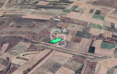 KARACABEY/SULTANİYE 'DE SATILIK MÜSTAKİL ARAZİ