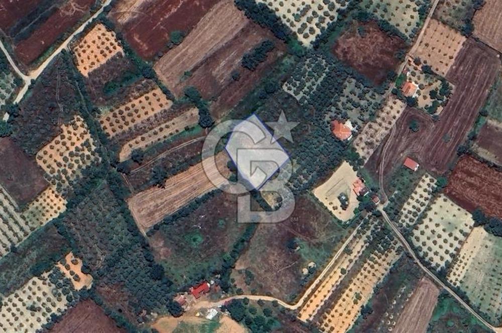 Muğla Menteşe Akkaya Satılık 1453 m² Tarla 