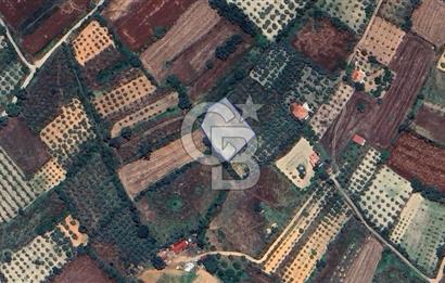 Muğla Menteşe Akkaya Satılık 1453 m² Tarla 
