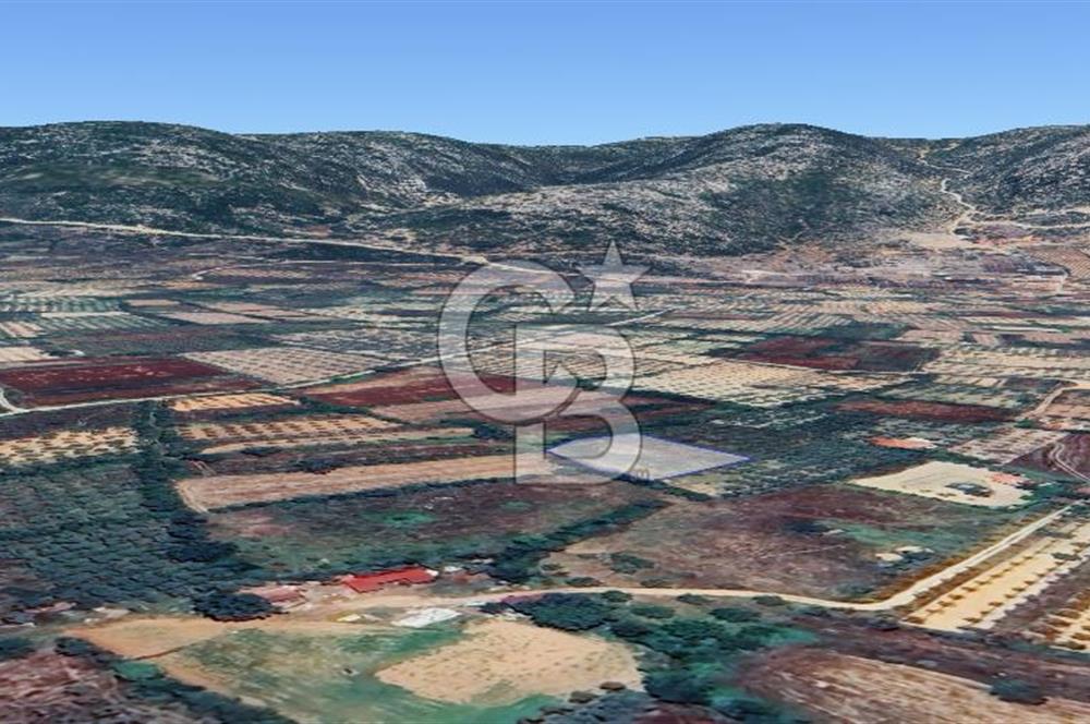 Muğla Menteşe Akkaya Satılık 1453 m² Tarla 
