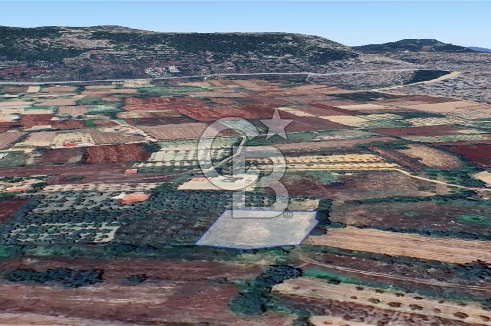 Muğla Menteşe Akkaya Satılık 1453 m² Tarla 