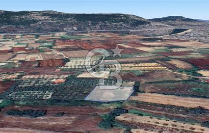 Muğla Menteşe Akkaya Satılık 1453 m² Tarla 