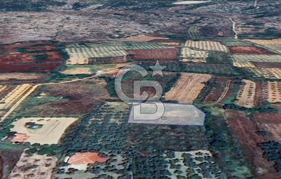 Muğla Menteşe Akkaya Satılık 1453 m² Tarla 