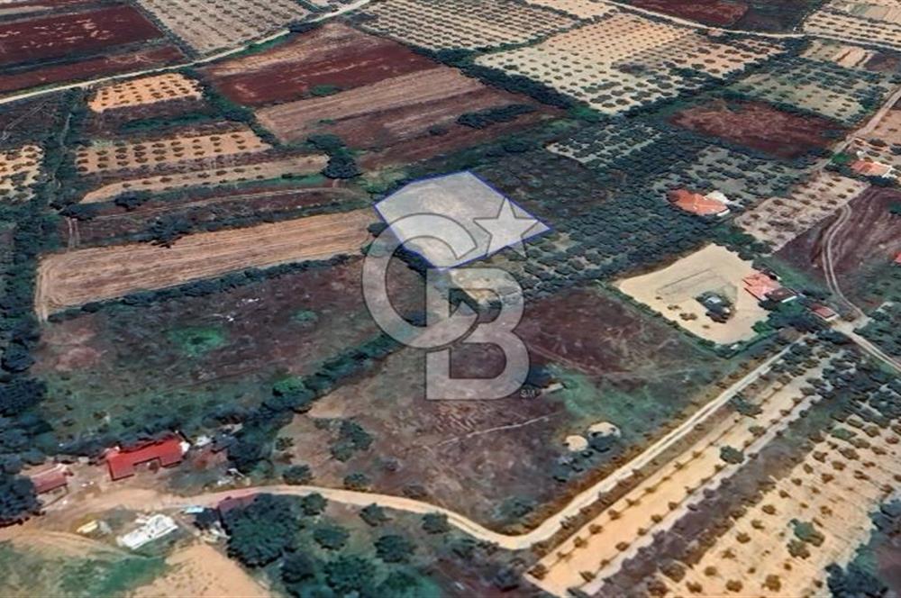 Muğla Menteşe Akkaya Satılık 1453 m² Tarla 