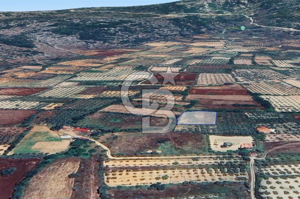 Muğla Menteşe Akkaya Satılık 1453 m² Tarla 