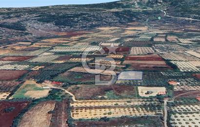Muğla Menteşe Akkaya Satılık 1453 m² Tarla 