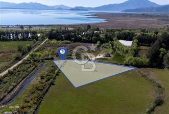 Muğla Köyceğiz Toparlar Mahallesinde 6.5 dönüm müstakil tapulu tarla - 9 - 342939