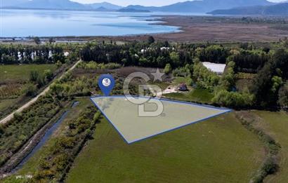 Muğla Köyceğiz Toparlar Mahallesinde 6.5 dönüm müstakil tapulu tarla