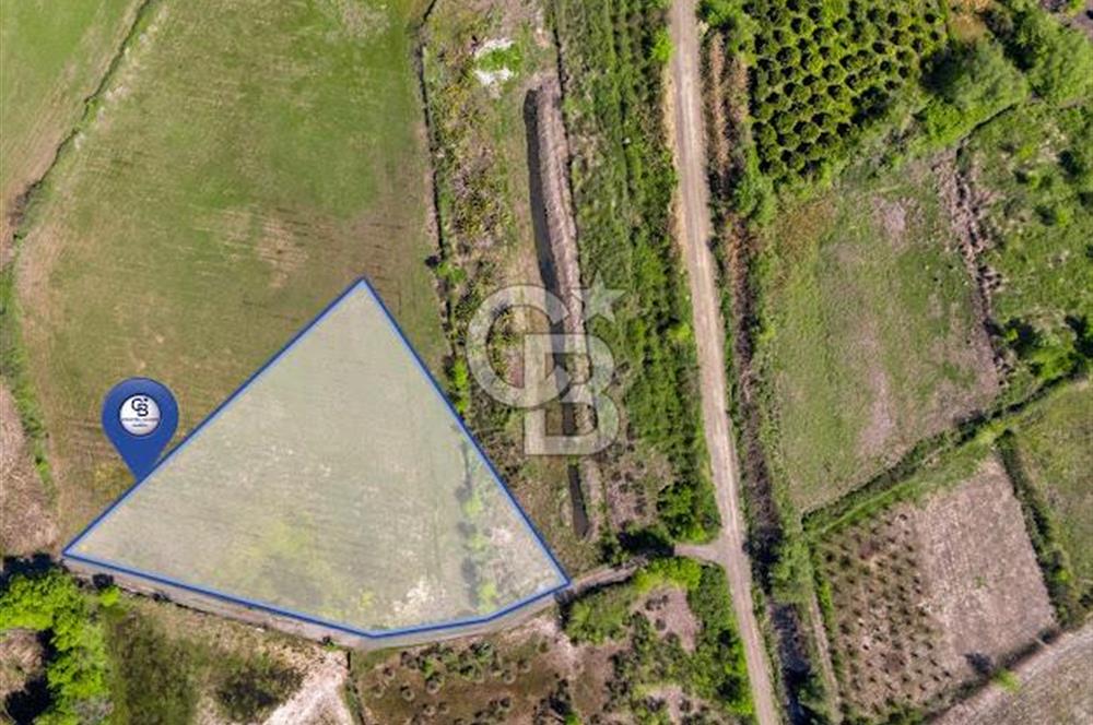 Muğla Köyceğiz Toparlar Mahallesinde 6.5 dönüm müstakil tapulu tarla