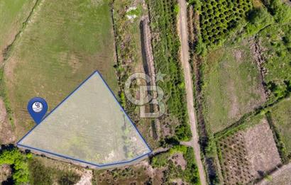 Muğla Köyceğiz Toparlar Mahallesinde 6.5 dönüm müstakil tapulu tarla