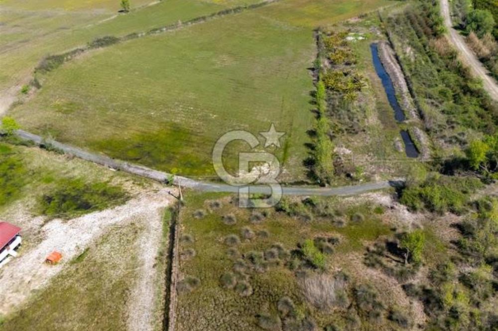 Muğla Köyceğiz Toparlar Mahallesinde 6.5 dönüm müstakil tapulu tarla