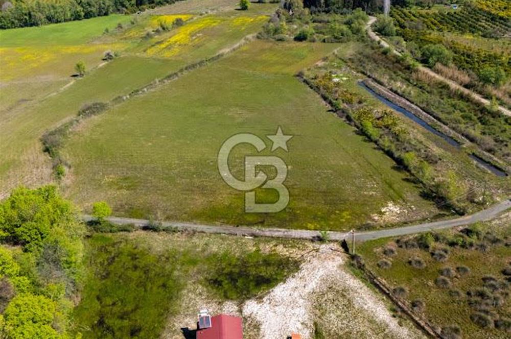 Muğla Köyceğiz Toparlar Mahallesinde 6.5 dönüm müstakil tapulu tarla