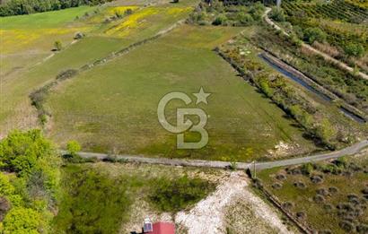 Muğla Köyceğiz Toparlar Mahallesinde 6.5 dönüm müstakil tapulu tarla